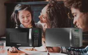 microondas mondial é bom